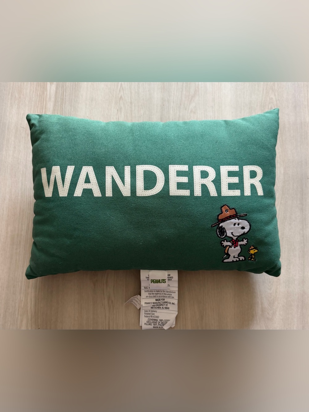 Peanuts Beagle Scout Collection Adventure Ready Snoopy Decorative Pillow
